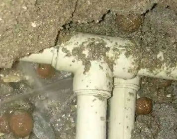 金水测漏水多少钱