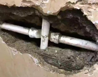 金水测漏水哪家好