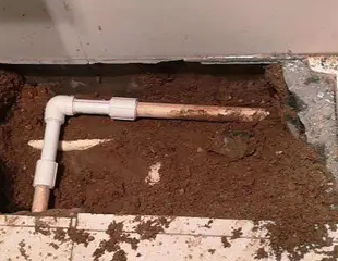 金水测漏水哪家好