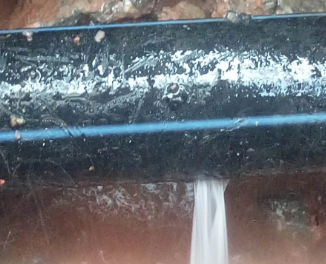 金水卫生间测漏水哪家好