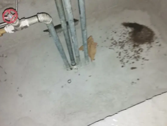 金水卫生间测漏水价格明细