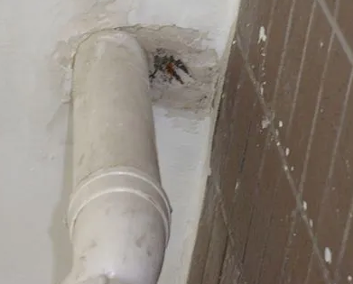 金水漏水检测哪家好